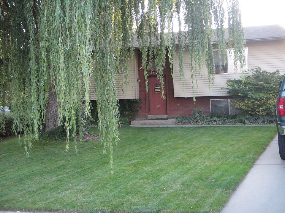 Front yard all shaded