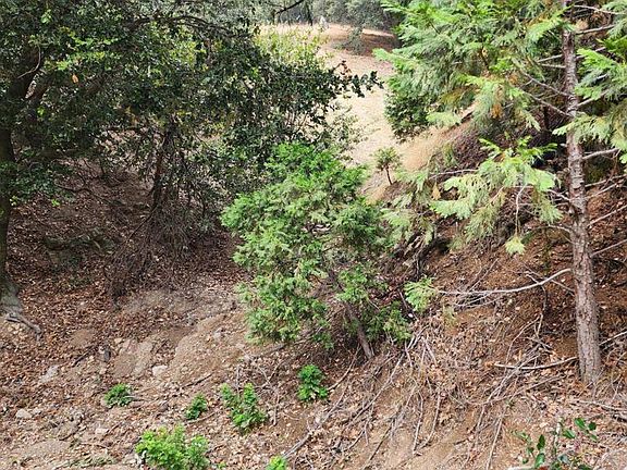 2nd image of 0 Fern Canyon Rd