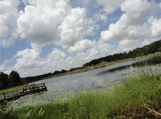 1717 Newberger Rd, Lutz, FL 33549