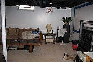 Basement w/ 1/2 bath & projection HDTV