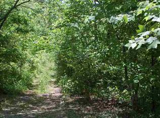 Blue Springs Rd, Sharps Chapel, TN 37866