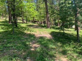 418 Blue Lake Springs Dr, Arnold, CA 95223