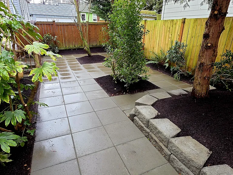 Backyard / Patio