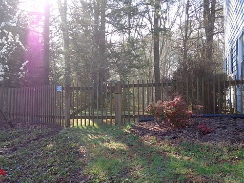 Fenced Yard