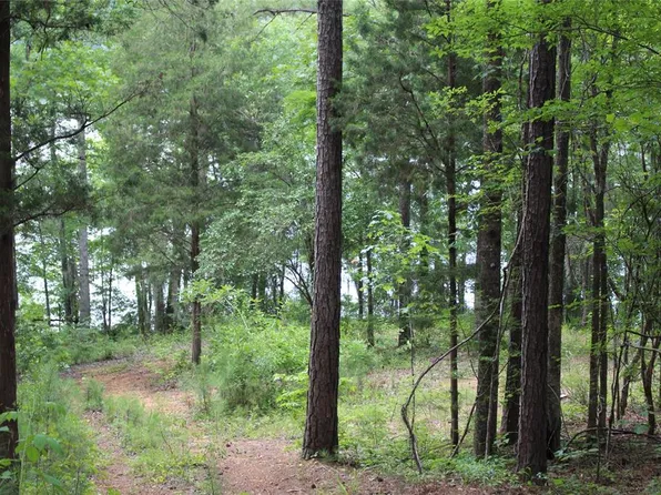 0 Willie Holt Rd, Deatsville, AL 36022