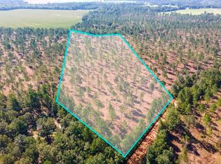 LOT 7 Bluffwood Rd, Wagener, SC 29164