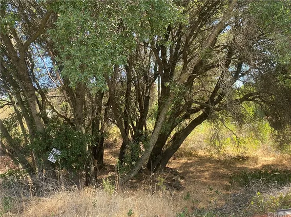 9463 Cheyenne Ct, Kelseyville, CA 95451