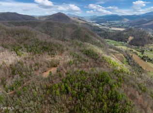 LOT 3 Ray Kegley Rd, Erwin, TN 37650