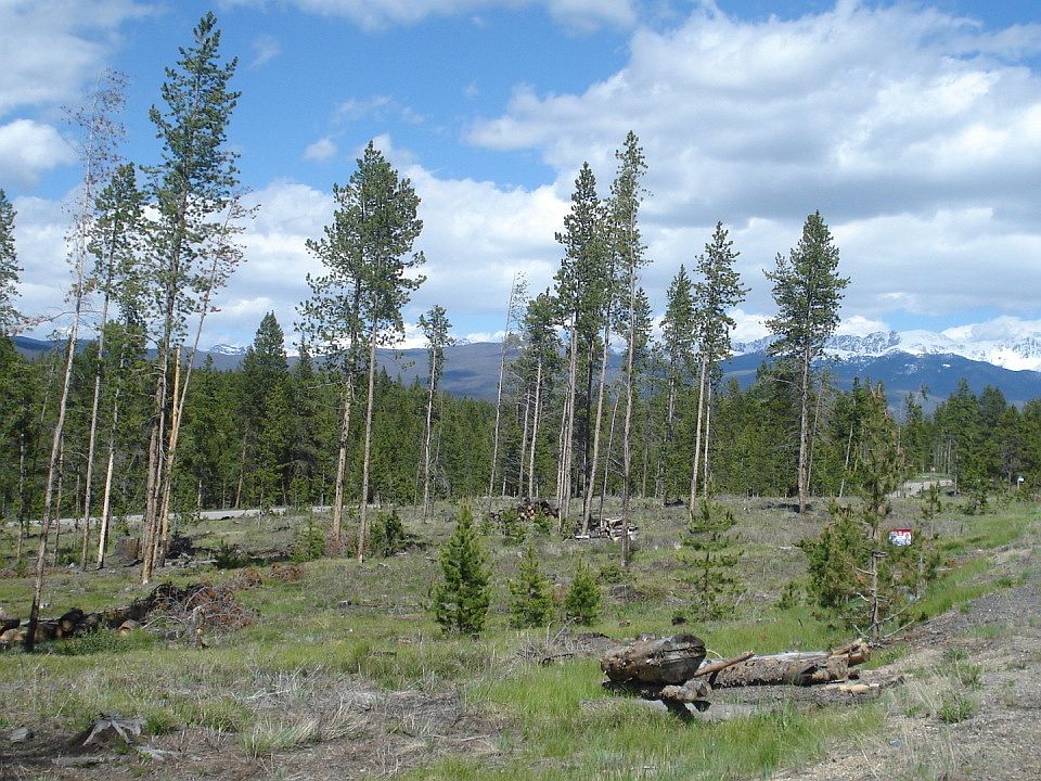 1st image of Mountain Peak Rd.