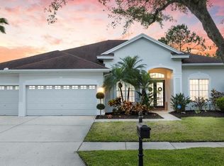 10721 Tavistock Dr, Tampa, FL 33626