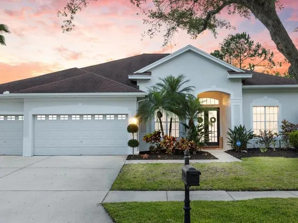 10721 Tavistock Dr, Tampa, FL 33626