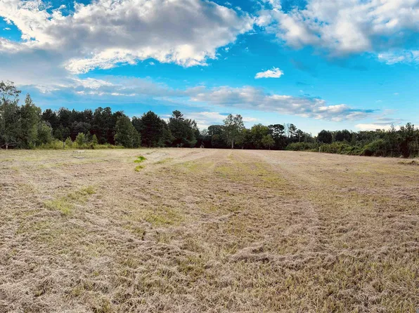 2021 Nesom Rd, Denham Springs, LA 70706