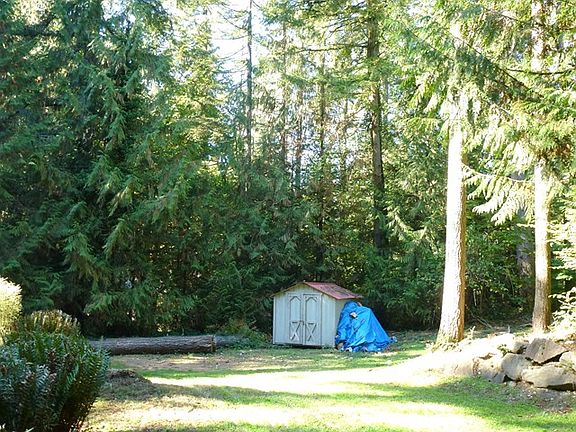 Huge Front Yard, Shed & Wood