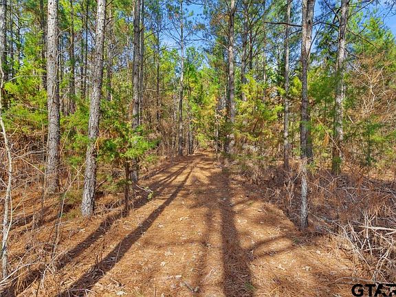 5th image of Fm 1995