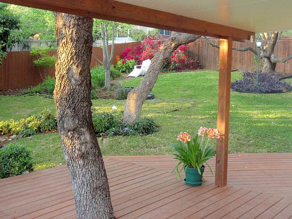 Park-like back yard