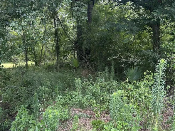 LOT 40 Henderson Ln Lot 40, Walker, LA 70785