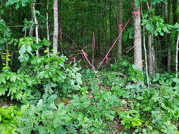 2nd image of 235 County Rd Lot 2