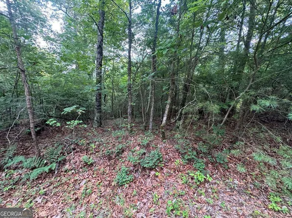 793 Woodbine Ln, Ranger, GA 30734