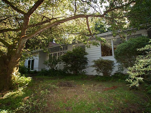 615 N Elm Fuji Tree