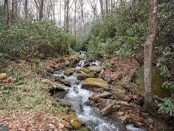 2nd image of 575 Carolina Springs Ln