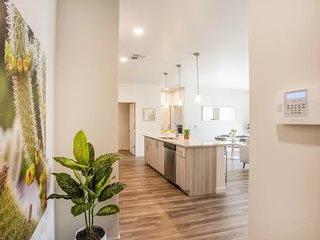 Acero Estrella Commons — Photo 4