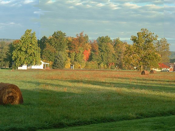 front porch view of property