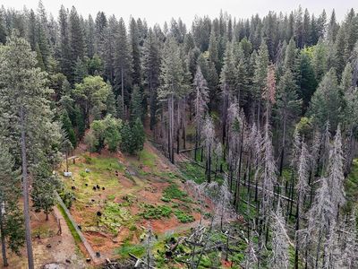 5194 Woodhaven Dr, Grizzly Flats, CA, 95636