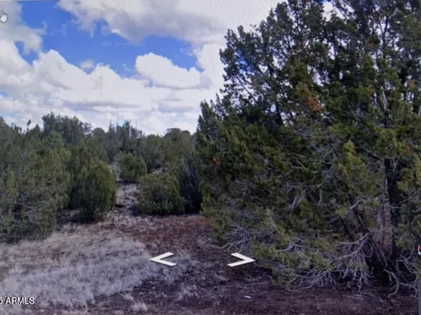 8426 Silver Creek Drive #1, Show Low, AZ 85901