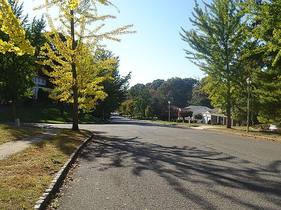 2nd image of 44 Bosko Dr