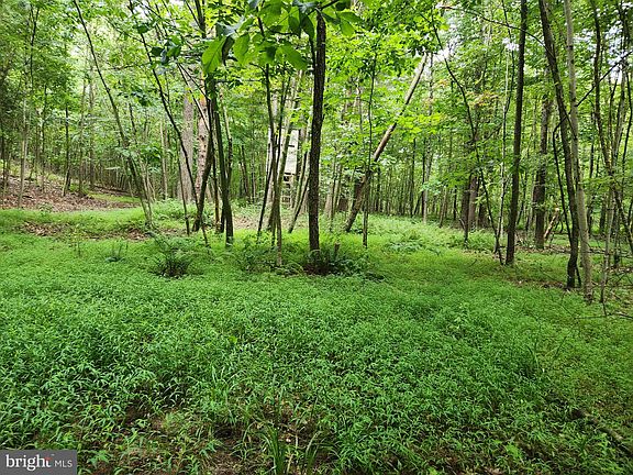 3rd image of LOT Knotty Pine Ln