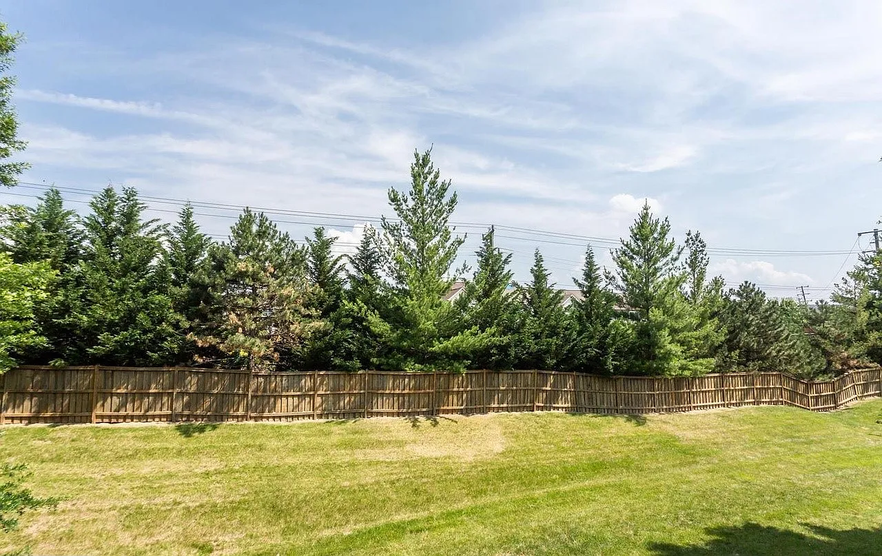 3 bed, 1900 sqft, $2,900 — Photo 3