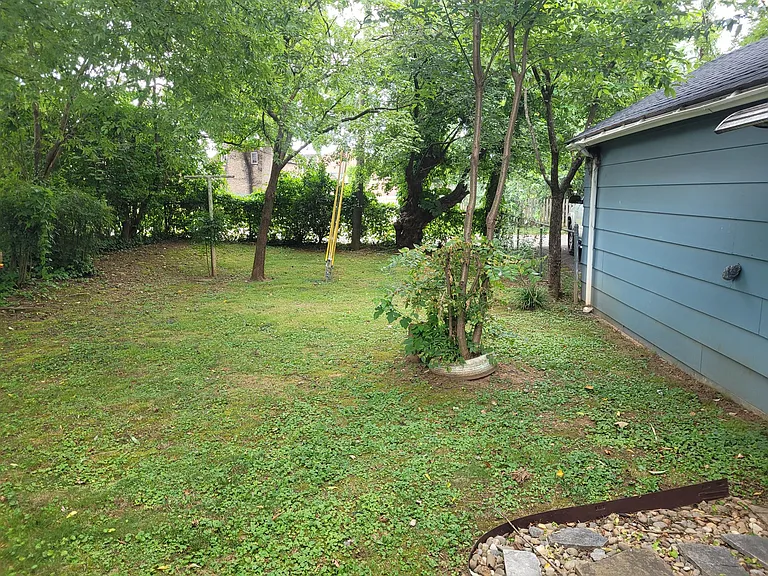 Back yard
