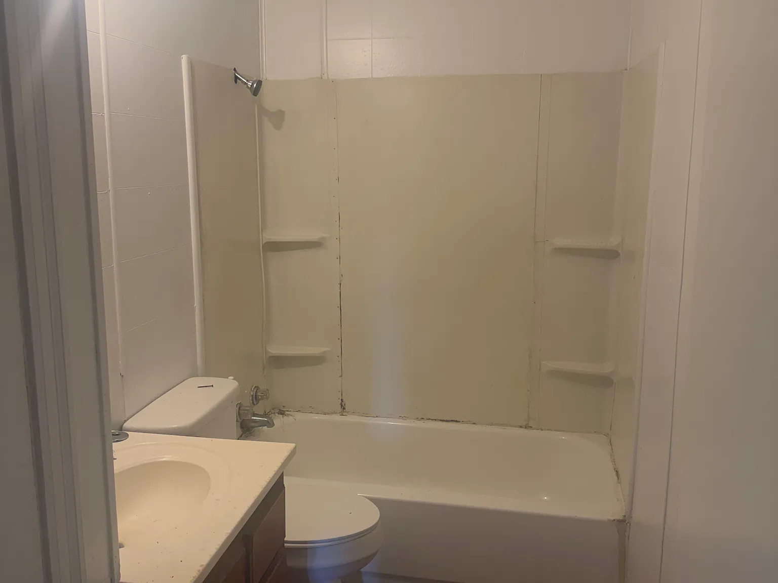 4 bed, 1229 sqft, $1,395 — Photo 4