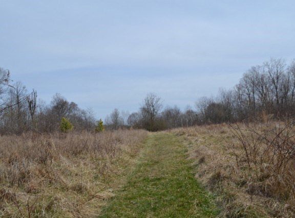 5th image of 87/AC Boles Rd