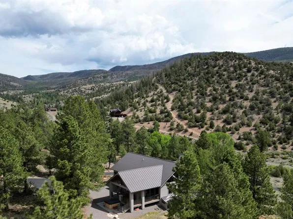 23 Bear Cub Hollow, South Fork, CO 81154