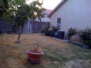 1676 Southpointe Dr. - Back Yard