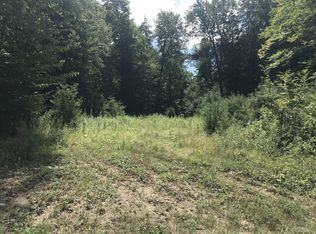 0 Lanfear Rd, Stony Creek, NY 12878