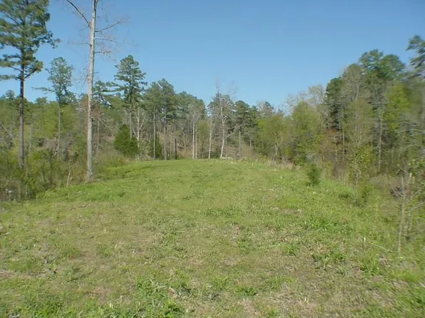 35110 Sample Rd, Roland, AR 72135