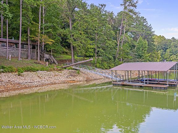 Image 4: Lake side & Dock