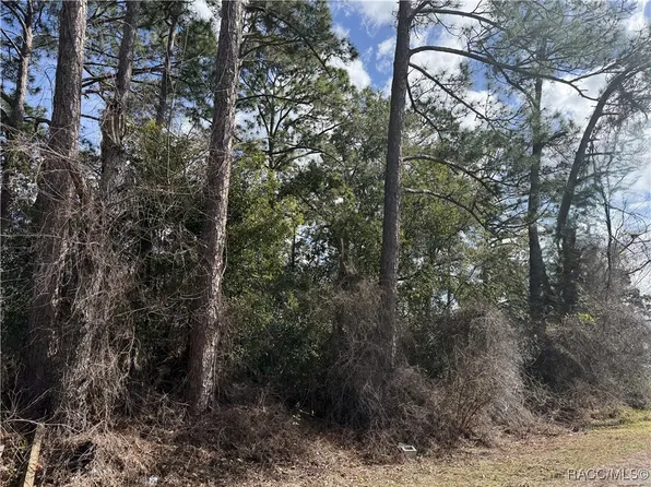 SE 190th Ave, Silver Springs, FL 34488