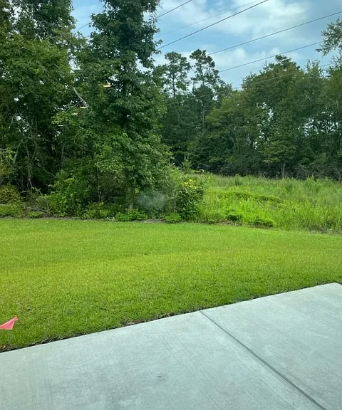 129 Hoffman Park Dr — Photo 29