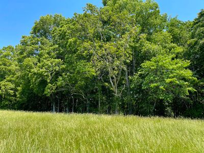 77 Meadows Loop, Russell Springs, KY, 42642