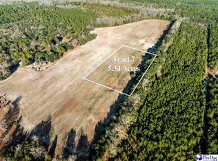 5.34 Acres Tract #7, Manning, SC 29102