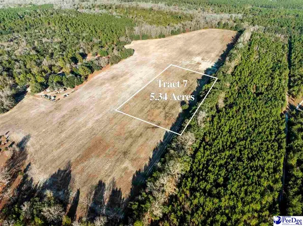 5.34 Acres Tract #7, Manning, SC 29102