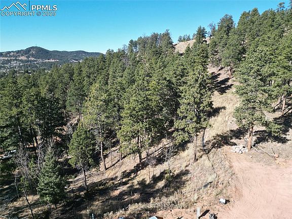 2nd image of 1420 Red Haven Pl