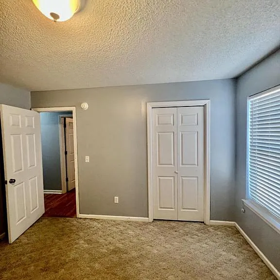 11122 County Road 1 — Photo 14
