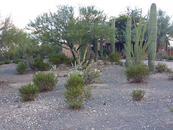 Front Lot Line (Lk South)