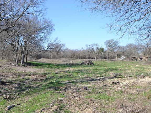 5th image of Tbd Bob White