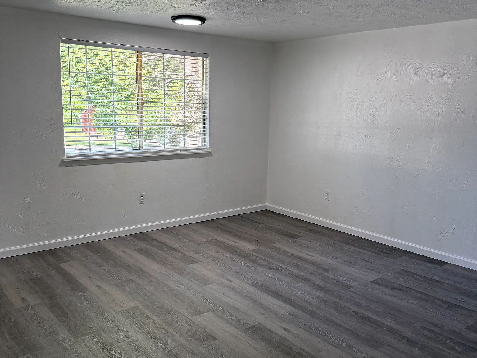 1 bed, 515 sqft, $895 — Photo 4