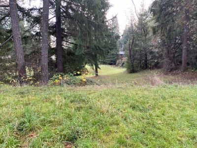 Bolton Hill Rd, Veneta, OR, 97487